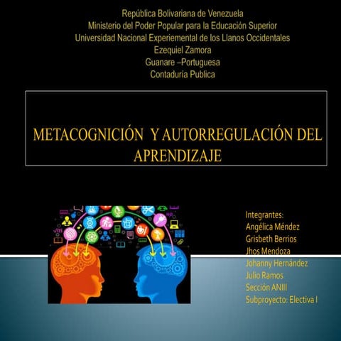 Metacognicion