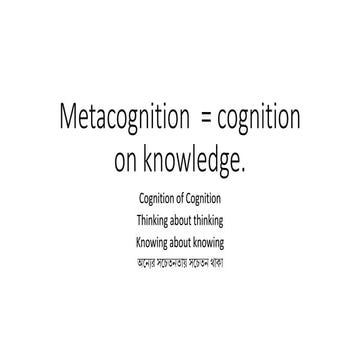 Metacognition & Gaming  Simulation