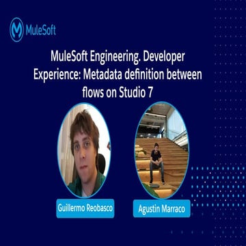 Metadata definition between flows on Studio 7  : MuleSoft Virtual Muleys Meetups