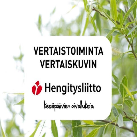 Vertaistoiminta vertaiskuvin. 
