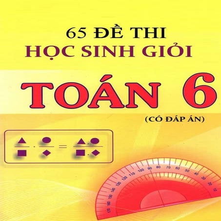 65 Đề Thi Học Sinh Giỏi Toán 6 Có Đáp Án.doc