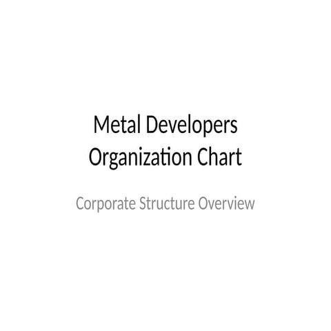 Comprehensive Organizational Structure and Role Alignment for Metal ...
