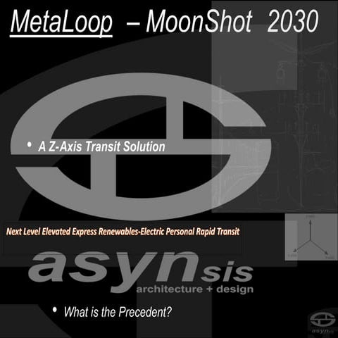 Metaloop Moonshot 2030-Executive Summary