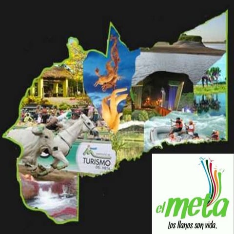 Meta los llanos son mi vida