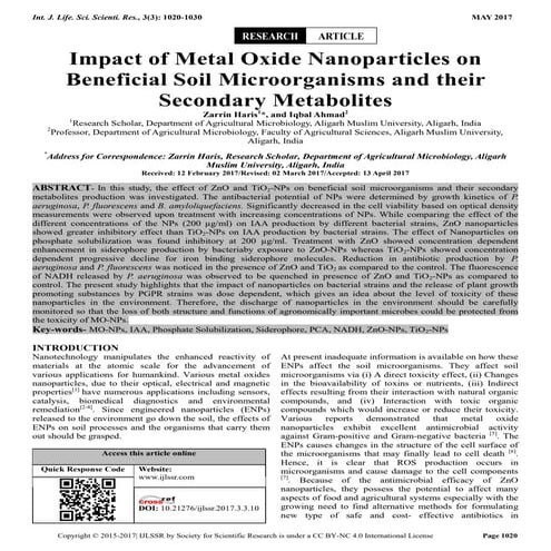 Impact of Metal Oxide Nanoparticles on Beneficial Soil Microorganisms and the...