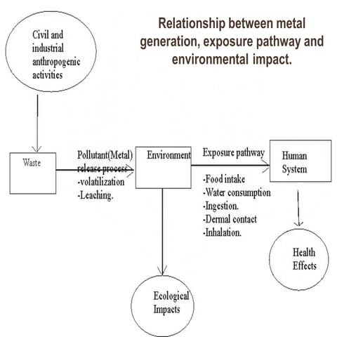 heavy Metal toxicology in environment science