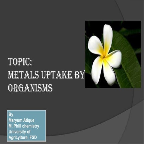 metaluptakebyorganisms-140127100913-phpapp02 (1).pdf