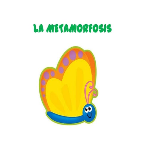 Metamorfosi cucs de seda