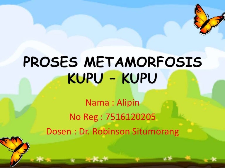 Download 4400 Gambar Animasi Kupu-kupu Untuk Power Point HD Free Downloads Download 4400 Gambar Animasi Kupu-kupu Untuk Power Point HD Free Downloads