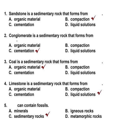 Metamorphic Rocks 