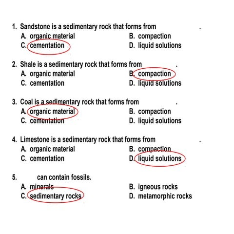 Metamorphic Rocks 