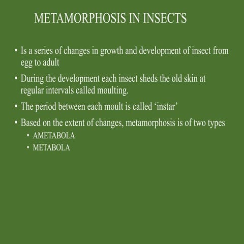 metamorphosis and  Immature insects .pdf