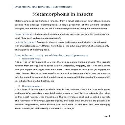 Metamorphosis in Insects