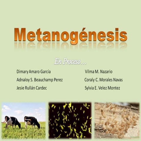 Metanogénesis | PPT
