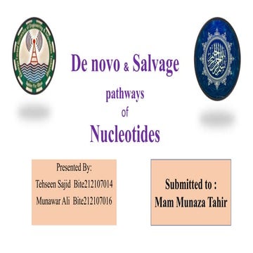 De novo and salvage pathway of nucleotides synthesis.pptx