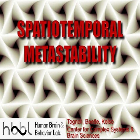 Tognoli: Spatiotemporal Metastability @ the Dynamic Brain Forum, Sigtuna, 2013