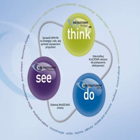 Datapolis Process System PL | PDF