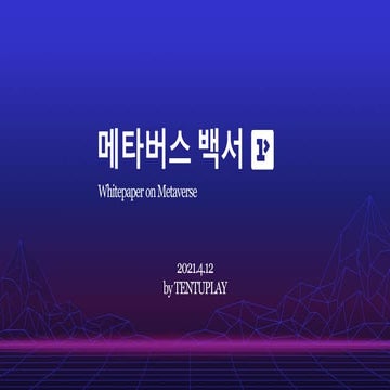 메타버스 백서 (by 텐투플레이)