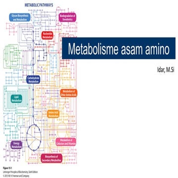 Metabolisme asam amino | PPTX