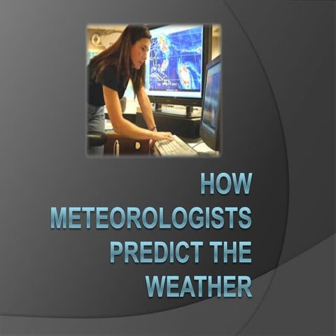 Meteorologists