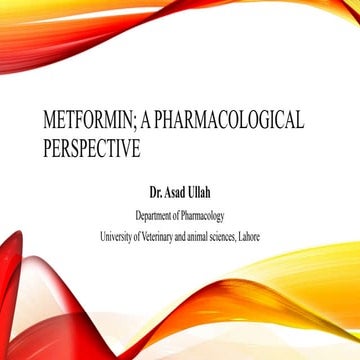 Metformin A Pharmacological Preespective
