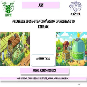 Advancements in One-Step Methane to Ethanol Conversion for Sustainable ...