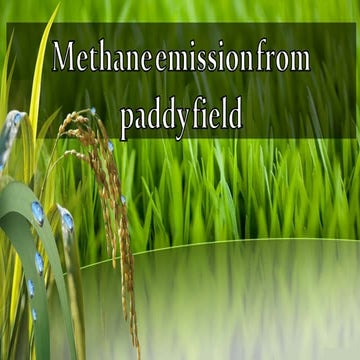 Methane emission from paddy field.pptx