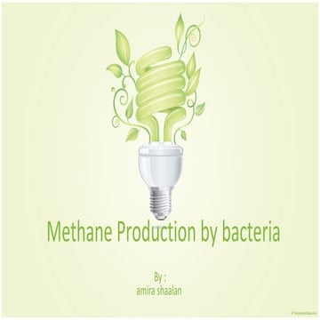 Methane production by bacteria 