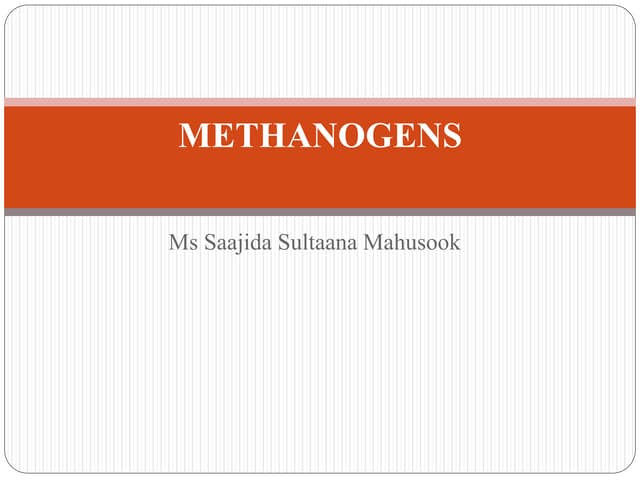 Methanogens
