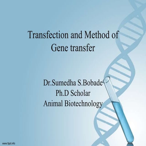 Method of gene transfer