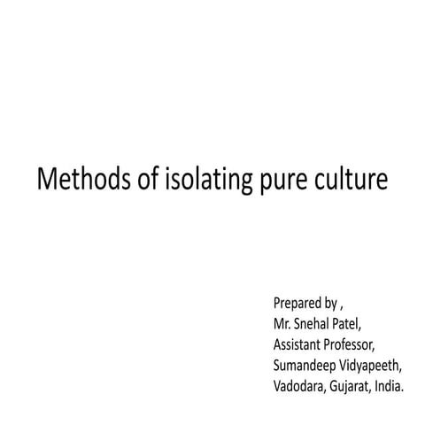 Method of isolation of pure culture