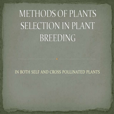 Methods of plant breeding in self pollinating plants 