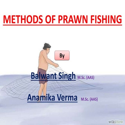 Methods of prawn fishing