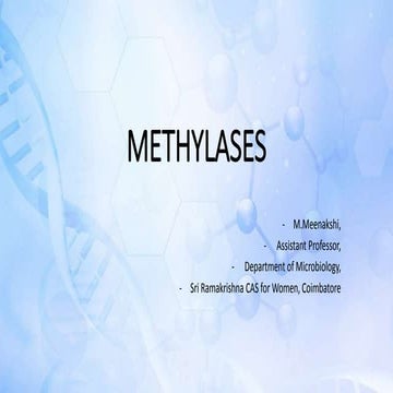 Methylases