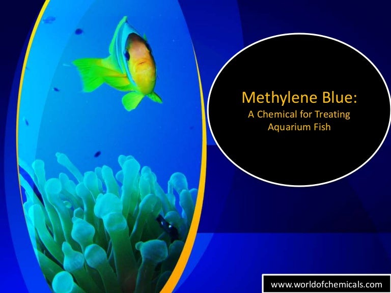 Methylene blue a chemical for treating aquarium fish