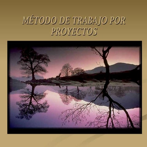 Metodo de trabajo por proyecto