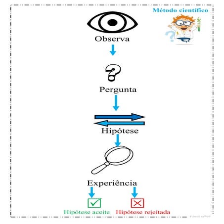 Metodo científico