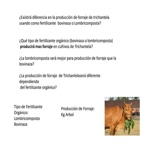 Metodo cientifico examen