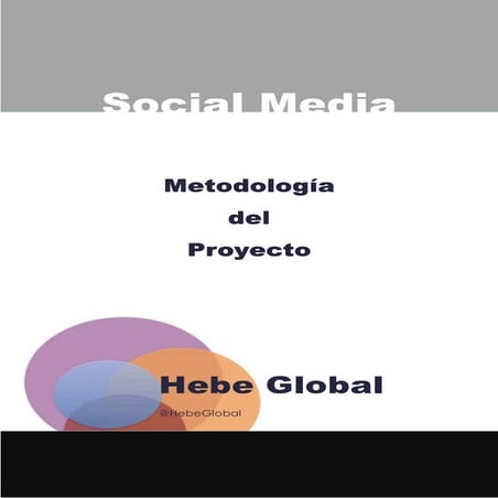 Metodología Proyecto Social Media
