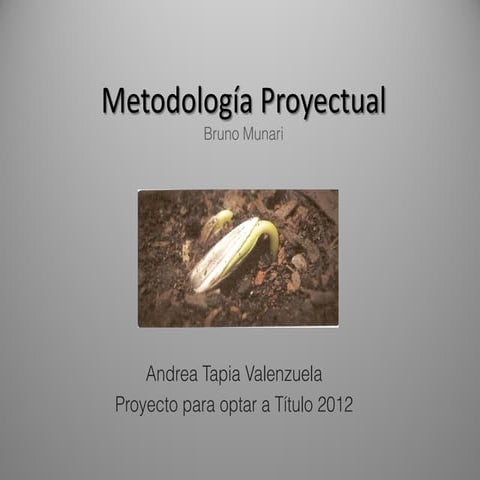 Metodología proyectual
