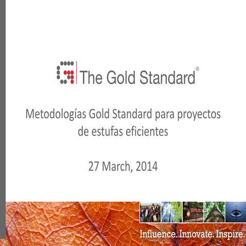Primer Taller Gold Standard en Colombia: Metodologías GS Estufas eficientes p...