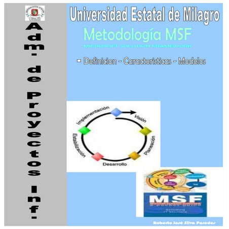 Metodologia msf