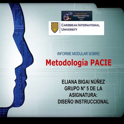 METODOLOGIA PACIE