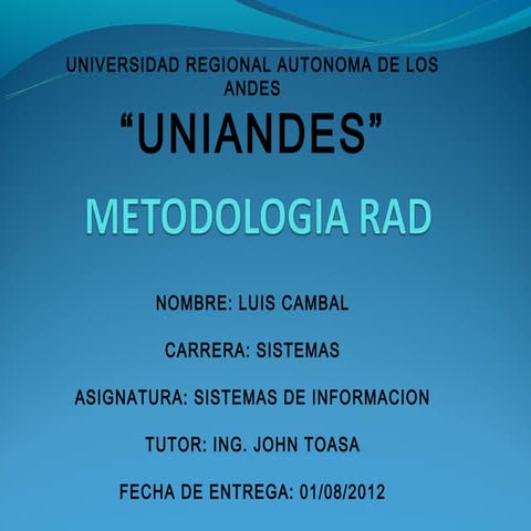 Metodologia rad luis c