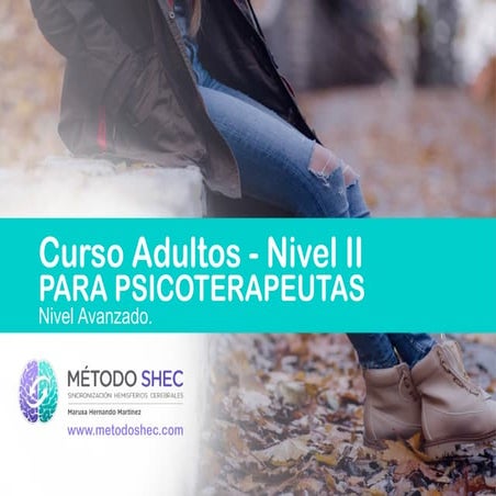 Método shec para eliminar el dolor emocional y situaciones dificiles | PDF