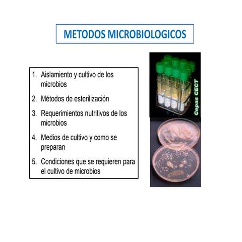 Metodos microbiologico sambiental