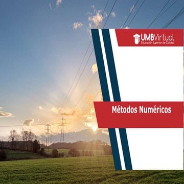 Metodos Numericos_Virtual.pptx