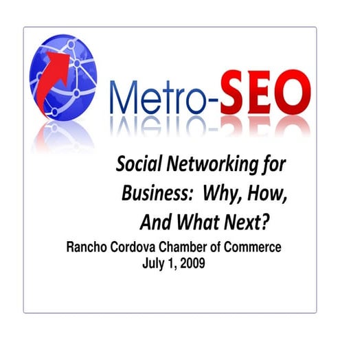Metro-SEO | Social Networking 06302009