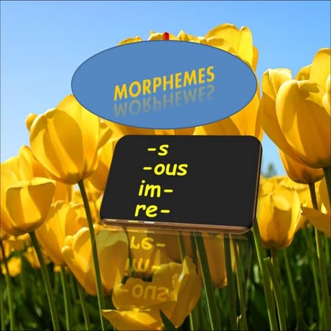 Morphemes