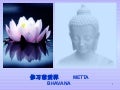 修习慈爱禅  Meditation On Loving Kindness  (English & Chinese)